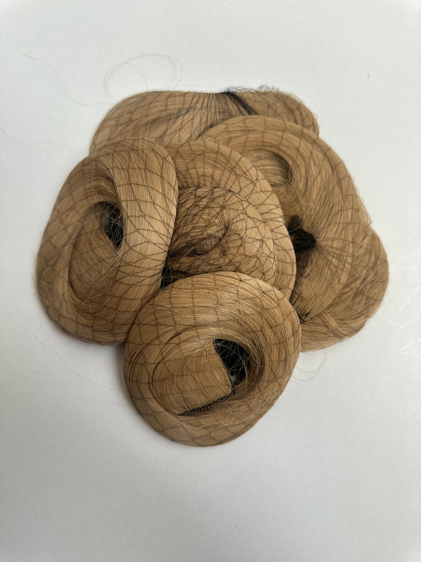 12" Colour Extension